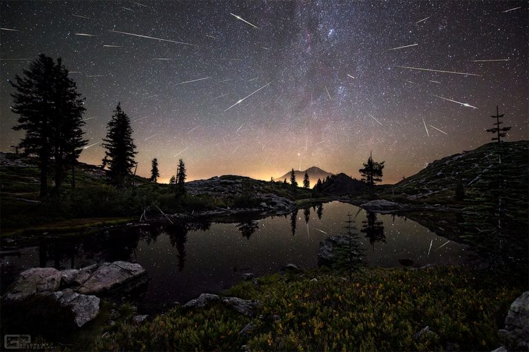 the perseids remote control car